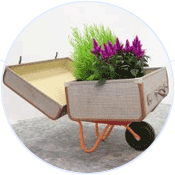 small Amy Stephens screenshot