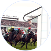 small Grand National Horse Selector screenshot